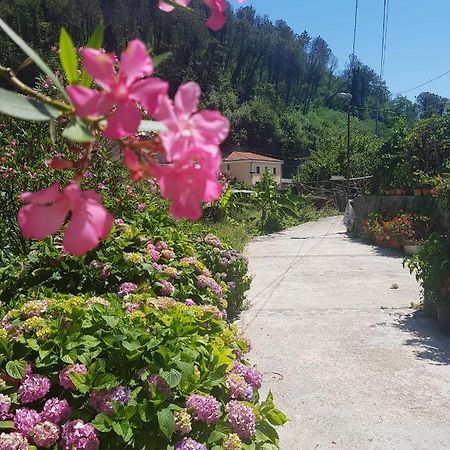 マイオーリ Casa Nonna Annaヴィラ エクステリア 写真