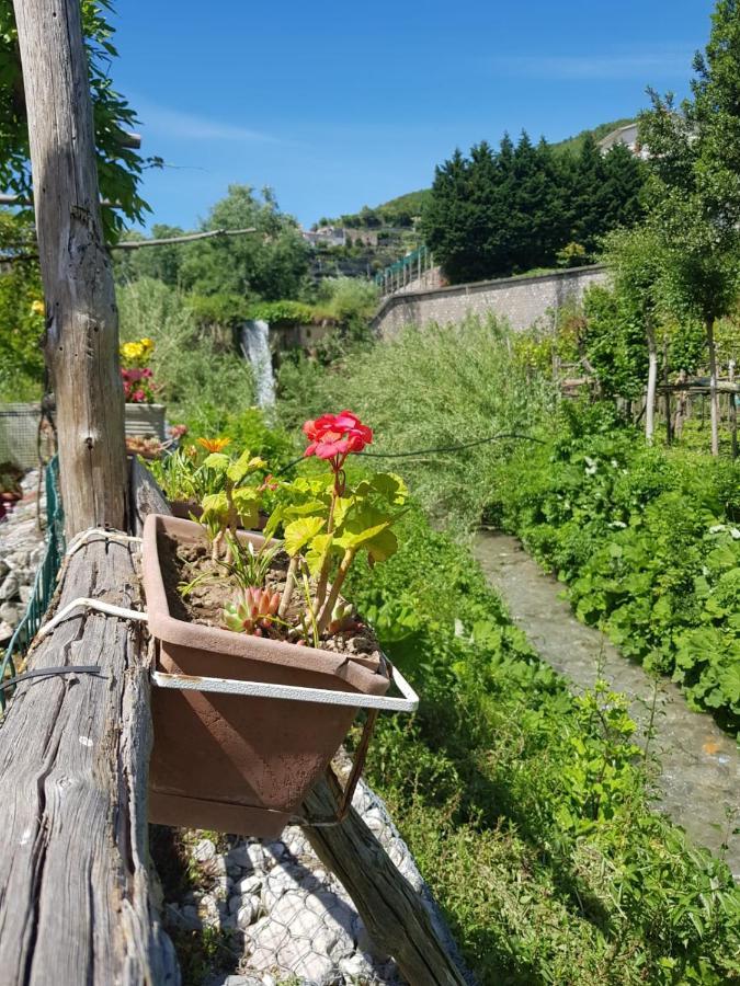 マイオーリ Casa Nonna Annaヴィラ エクステリア 写真