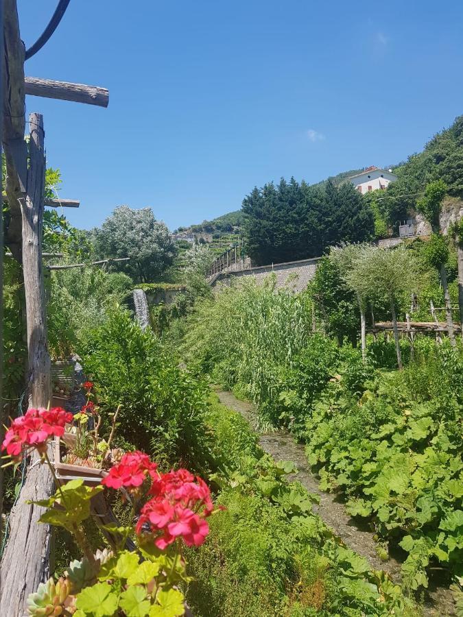 マイオーリ Casa Nonna Annaヴィラ エクステリア 写真
