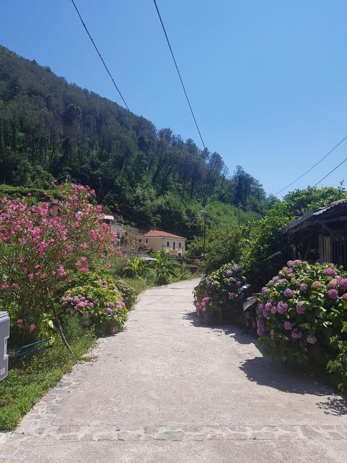 マイオーリ Casa Nonna Annaヴィラ エクステリア 写真