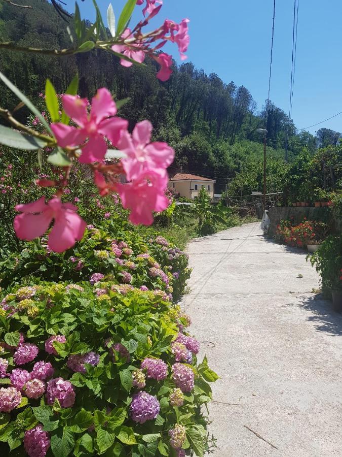 マイオーリ Casa Nonna Annaヴィラ エクステリア 写真